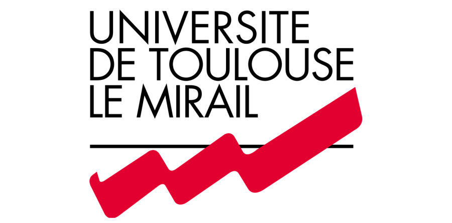 Protégé : licence professionnelle Entreprises et Développement Local