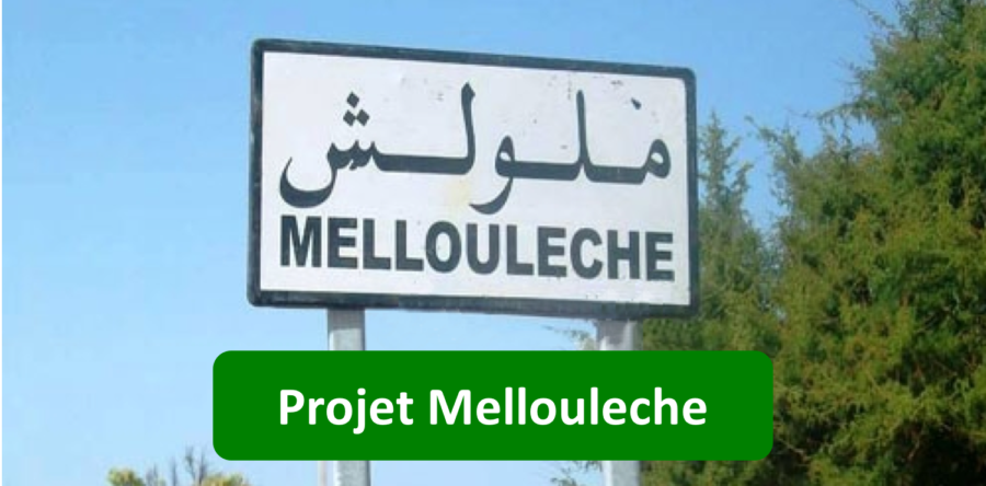 Protégé : Projet Mellouleche